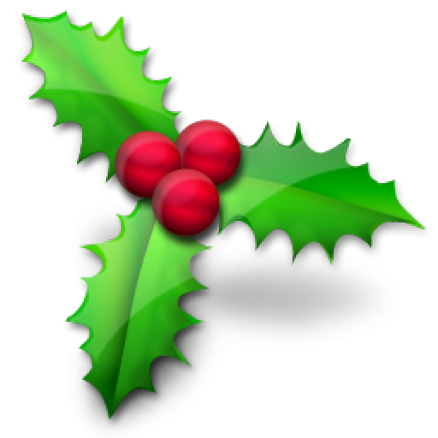 vistaico_christmas-png-christmas-holly-256x256