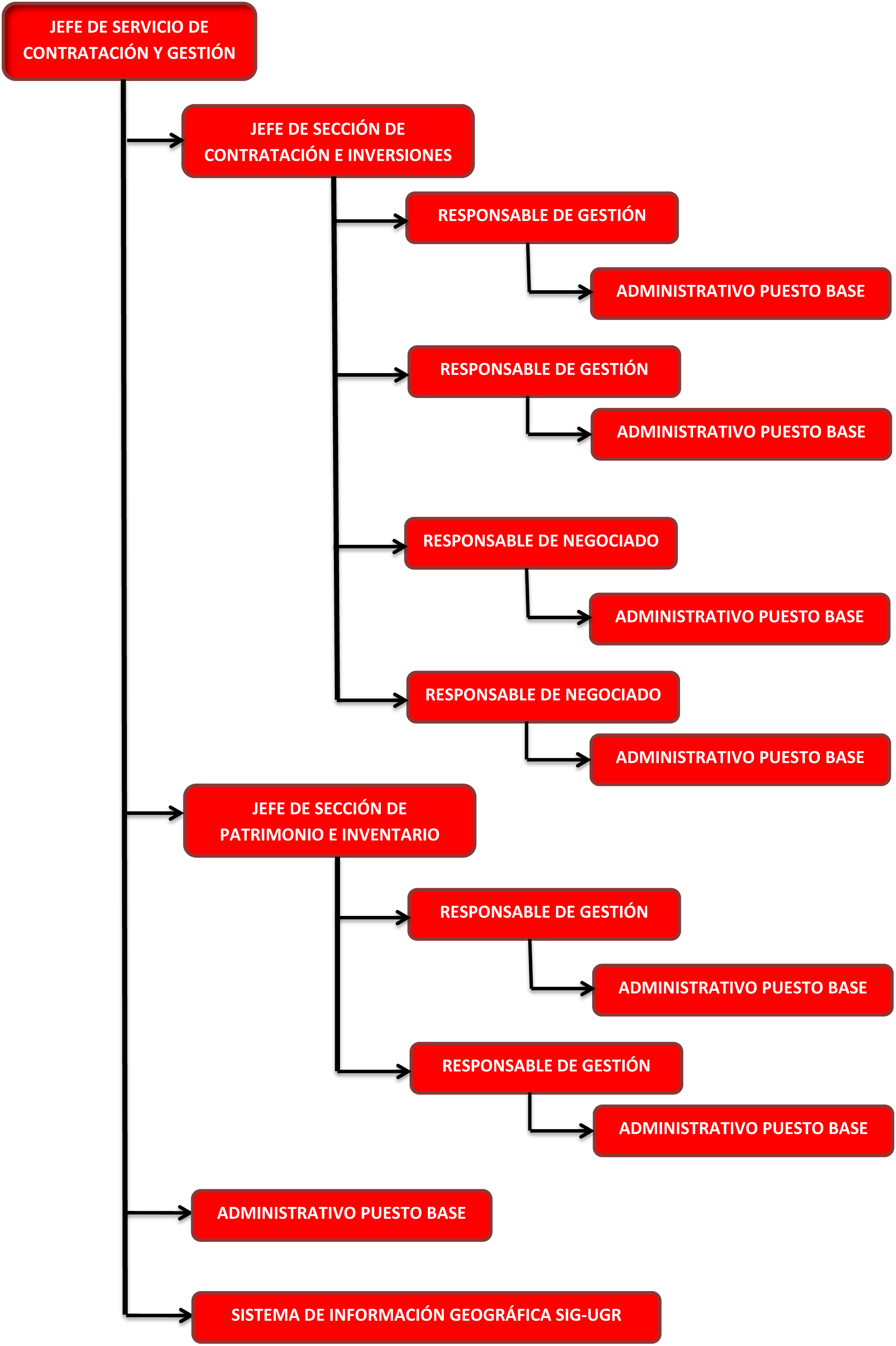ORGANIGRAMA